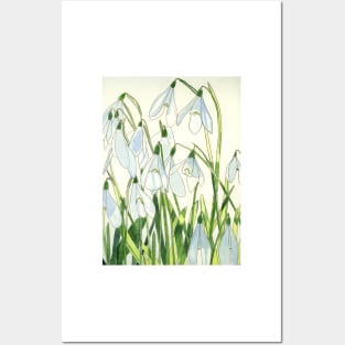 Snowdrops watercolour painting Posters and Art